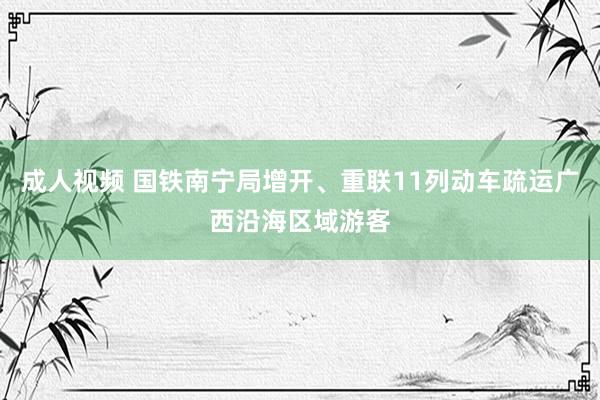 成人视频 国铁南宁局增开、重联11列动车疏运广西沿海区域游客