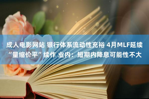 成人电影网站 银行体系流动性充裕 4月MLF延续“量缩价平”续作 业内：短期内降息可能性不大