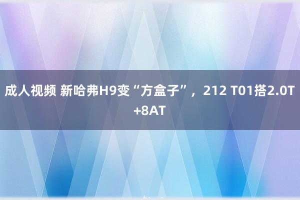 成人视频 新哈弗H9变“方盒子”，212 T01搭2.0T+8AT