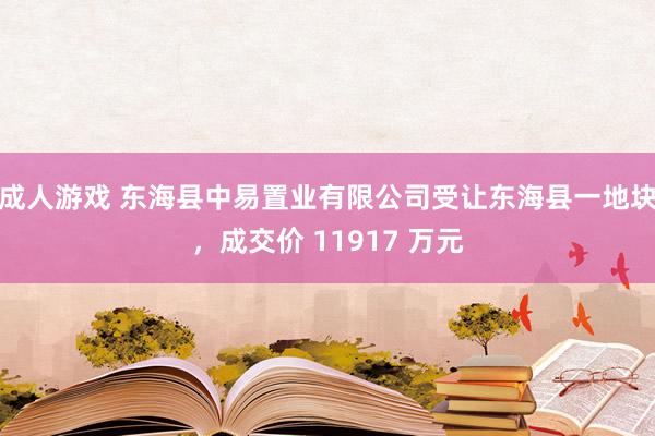 成人游戏 东海县中易置业有限公司受让东海县一地块，成交价 11917 万元