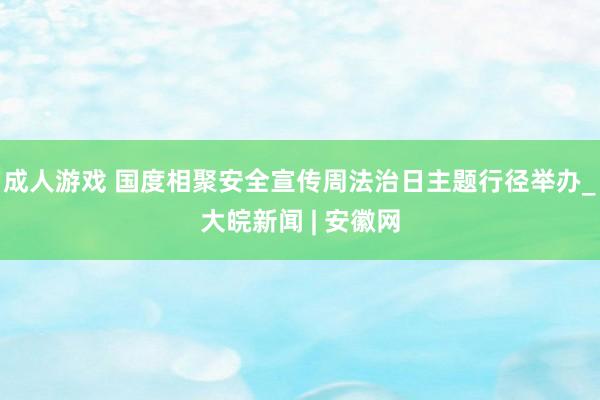 成人游戏 国度相聚安全宣传周法治日主题行径举办_大皖新闻 | 安徽网