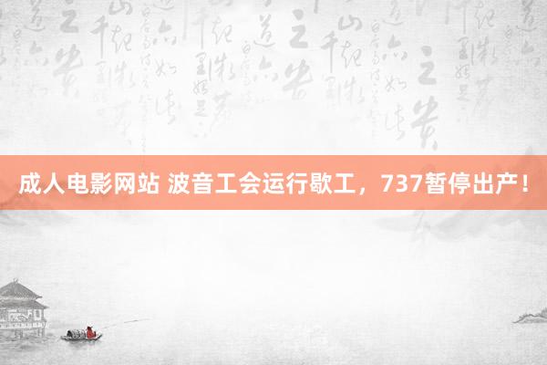 成人电影网站 波音工会运行歇工，737暂停出产！