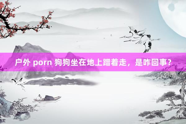 户外 porn 狗狗坐在地上蹭着走，是咋回事？