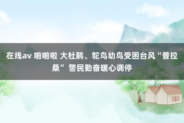 在线av 啪啪啦 大杜鹃、鸵鸟幼鸟受困台风“普拉桑” 警民勤奋暖心调停