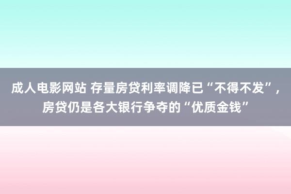 成人电影网站 存量房贷利率调降已“不得不发”，房贷仍是各大银行争夺的“优质金钱”