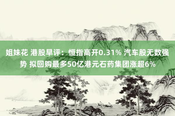 姐妹花 港股早评：恒指高开0.31% 汽车股无数强势 拟回购最多50亿港元石药集团涨超6%