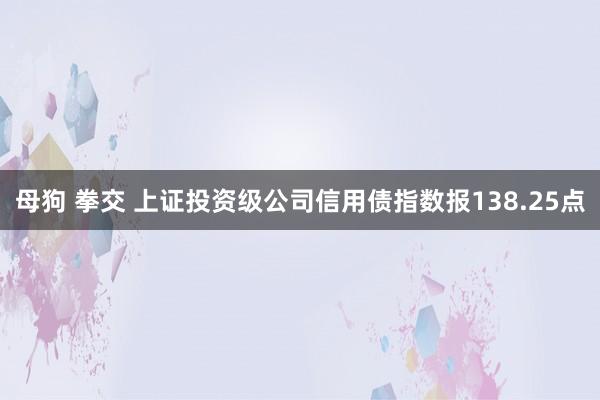 母狗 拳交 上证投资级公司信用债指数报138.25点