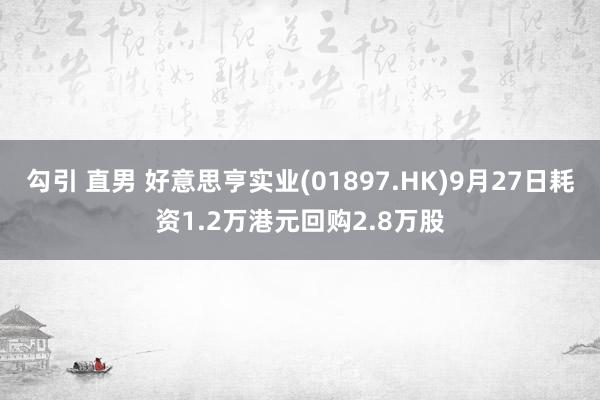 勾引 直男 好意思亨实业(01897.HK)9月27日耗资1.2万港元回购2.8万股