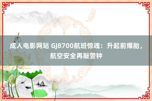 成人电影网站 GJ8700航班惊魂：升起前爆胎，航空安全再敲警钟