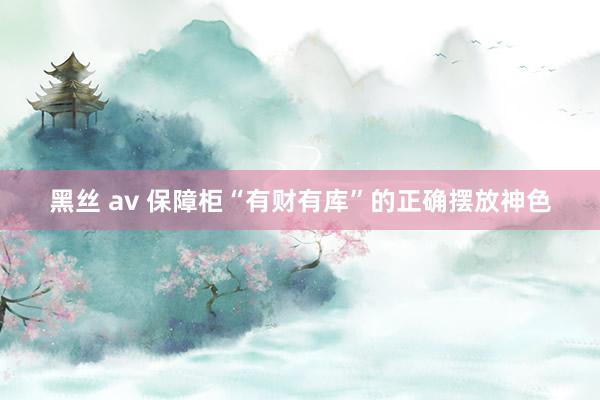 黑丝 av 保障柜“有财有库”的正确摆放神色