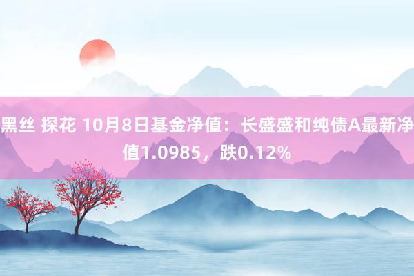 黑丝 探花 10月8日基金净值：长盛盛和纯债A最新净值1.0985，跌0.12%