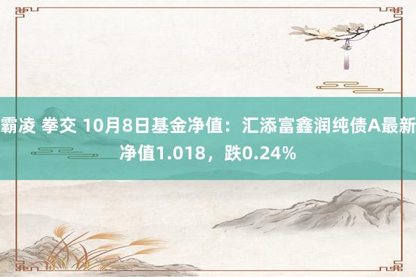 霸凌 拳交 10月8日基金净值：汇添富鑫润纯债A最新净值1.018，跌0.24%