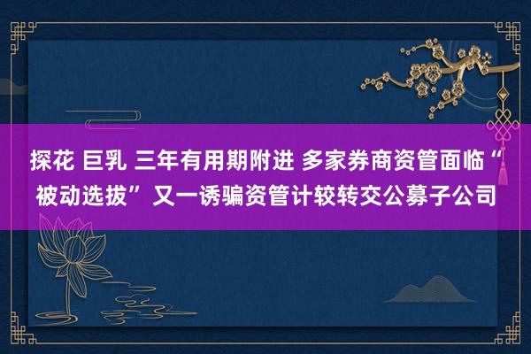 探花 巨乳 三年有用期附进 多家券商资管面临“被动选拔” 又一诱骗资管计较转交公募子公司