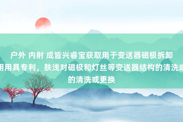 户外 内射 成皆兴睿宝获取用于变送器磁极拆卸的专用用具专利，肤浅对磁极和灯丝等变送器结构的清洗或更换