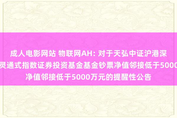 成人电影网站 物联网AH: 对于天弘中证沪港深物联网主题交游型灵通式指数证券投资基金基金钞票净值邻接低于5000万元的提醒性公告