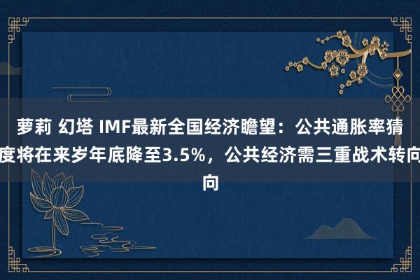 萝莉 幻塔 IMF最新全国经济瞻望：公共通胀率猜度将在来岁年底降至3.5%，公共经济需三重战术转向