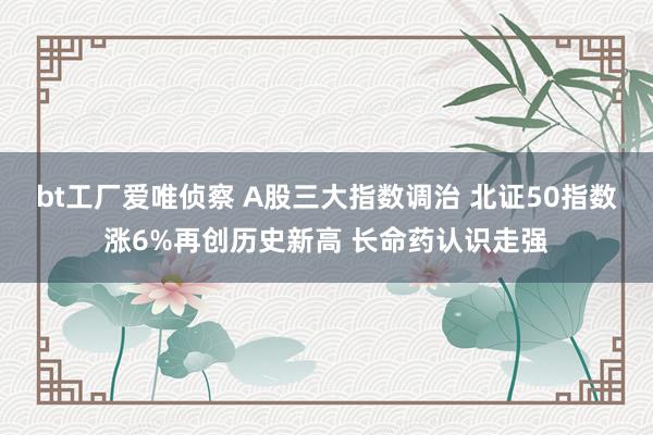 bt工厂爱唯侦察 A股三大指数调治 北证50指数涨6%再创历史新高 长命药认识走强