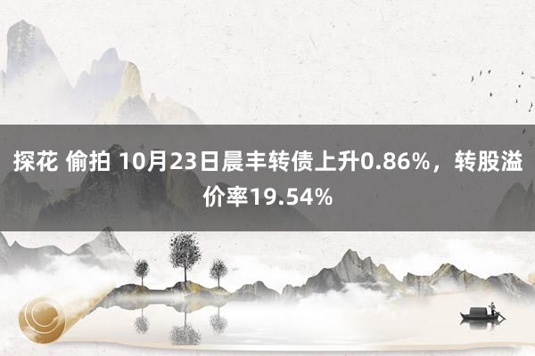 探花 偷拍 10月23日晨丰转债上升0.86%，转股溢价率19.54%