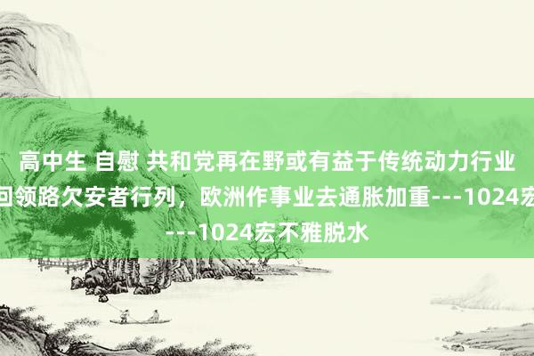 高中生 自慰 共和党再在野或有益于传统动力行业，日元重回领路欠安者行列，欧洲作事业去通胀加重---1024宏不雅脱水