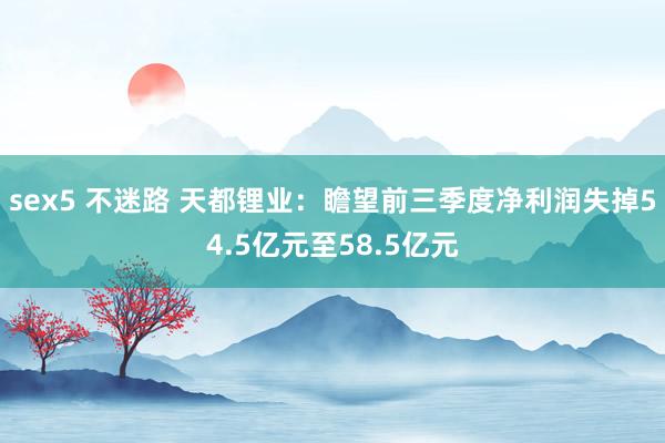 sex5 不迷路 天都锂业：瞻望前三季度净利润失掉54.5亿元至58.5亿元