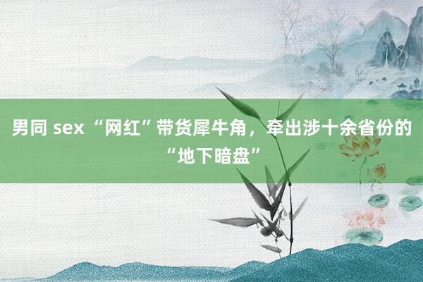 男同 sex “网红”带货犀牛角，牵出涉十余省份的“地下暗盘”