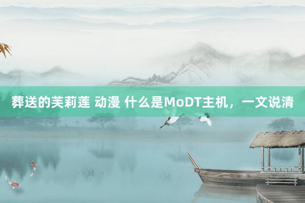 葬送的芙莉莲 动漫 什么是MoDT主机，一文说清