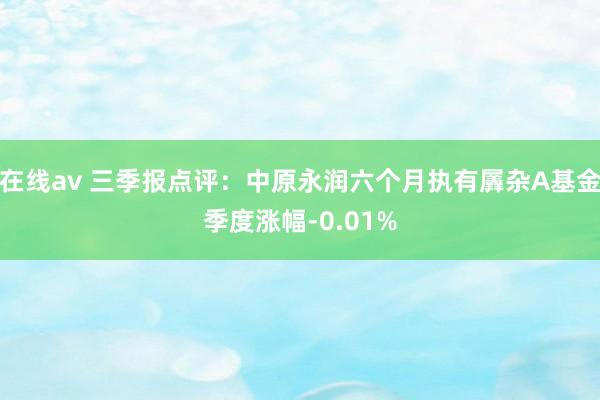 在线av 三季报点评：中原永润六个月执有羼杂A基金季度涨幅-0.01%