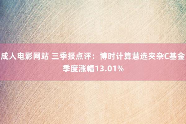 成人电影网站 三季报点评：博时计算慧选夹杂C基金季度涨幅13.01%