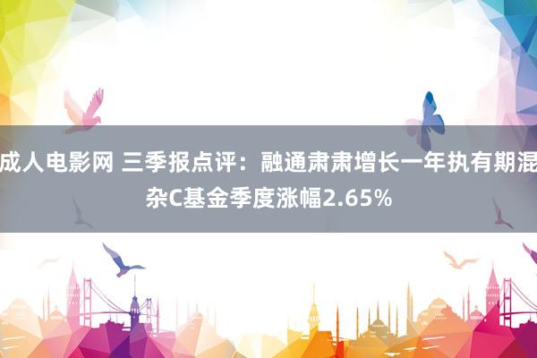 成人电影网 三季报点评：融通肃肃增长一年执有期混杂C基金季度涨幅2.65%