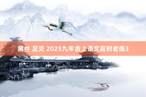 黑丝 足交 2025九年齿上语文延时老练3