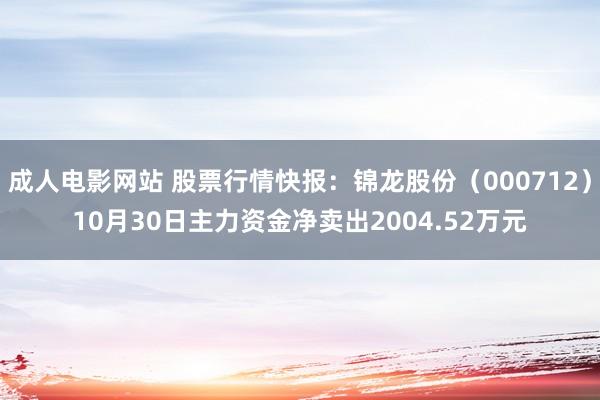 成人电影网站 股票行情快报：锦龙股份（000712）10月30日主力资金净卖出2004.52万元