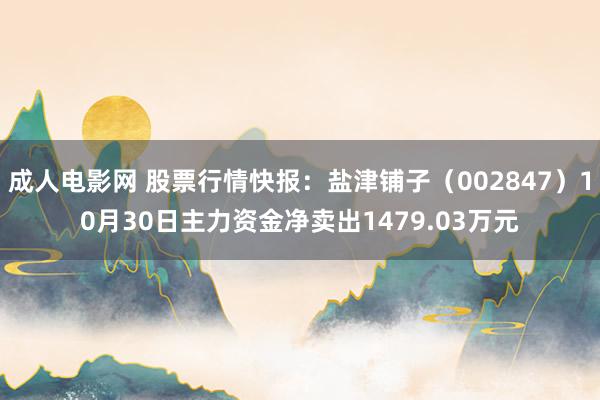 成人电影网 股票行情快报：盐津铺子（002847）10月30日主力资金净卖出1479.03万元