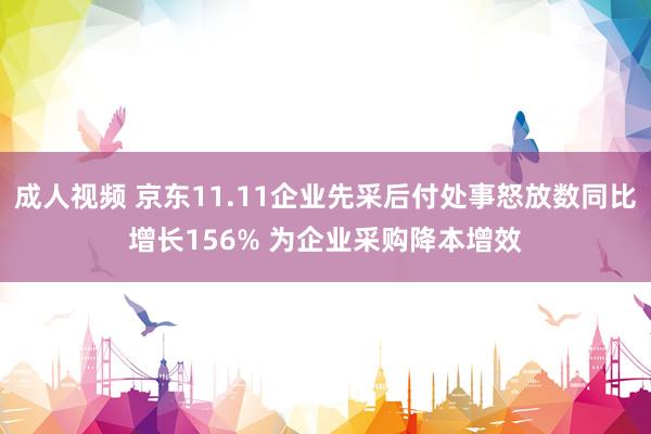 成人视频 京东11.11企业先采后付处事怒放数同比增长156% 为企业采购降本增效