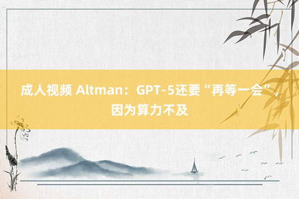 成人视频 Altman：GPT-5还要“再等一会”，因为算力不及