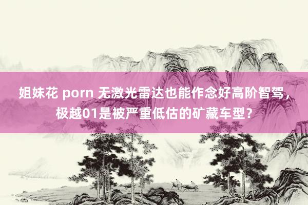 姐妹花 porn 无激光雷达也能作念好高阶智驾，极越01是被严重低估的矿藏车型？