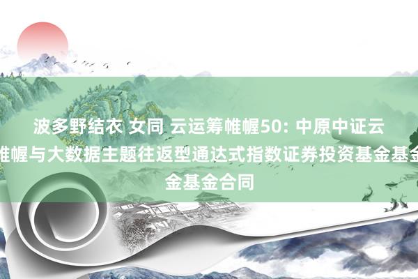 波多野结衣 女同 云运筹帷幄50: 中原中证云运筹帷幄与大数据主题往返型通达式指数证券投资基金基金合同