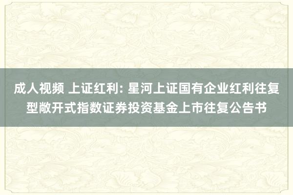 成人视频 上证红利: 星河上证国有企业红利往复型敞开式指数证券投资基金上市往复公告书