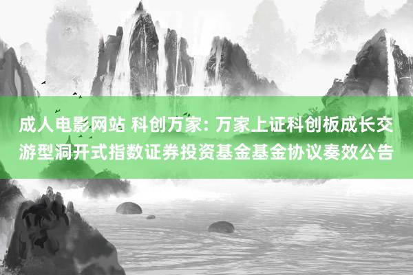 成人电影网站 科创万家: 万家上证科创板成长交游型洞开式指数证券投资基金基金协议奏效公告