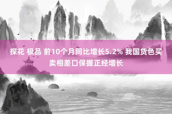 探花 极品 前10个月同比增长5.2% 我国货色买卖相差口保握正经增长