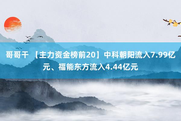 哥哥干 【主力资金榜前20】中科朝阳流入7.99亿元、福能东方流入4.44亿元