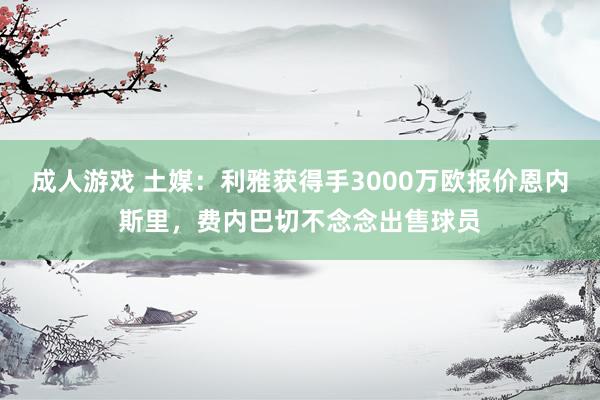 成人游戏 土媒：利雅获得手3000万欧报价恩内斯里，费内巴切不念念出售球员