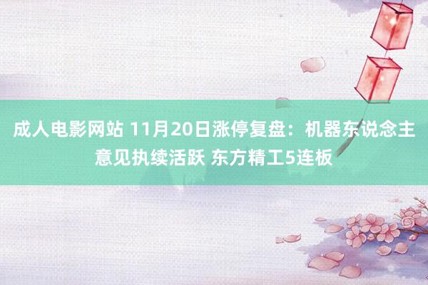 成人电影网站 11月20日涨停复盘：机器东说念主意见执续活跃 东方精工5连板