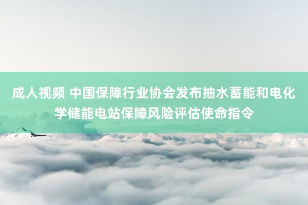 成人视频 中国保障行业协会发布抽水蓄能和电化学储能电站保障风险评估使命指令