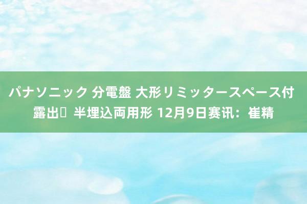 パナソニック 分電盤 大形リミッタースペース付 露出・半埋込両用形 12月9日赛讯：崔精