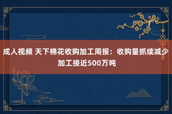 成人视频 天下棉花收购加工周报：收购量抓续减少 加工接近500万吨