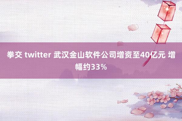 拳交 twitter 武汉金山软件公司增资至40亿元 增幅约33%