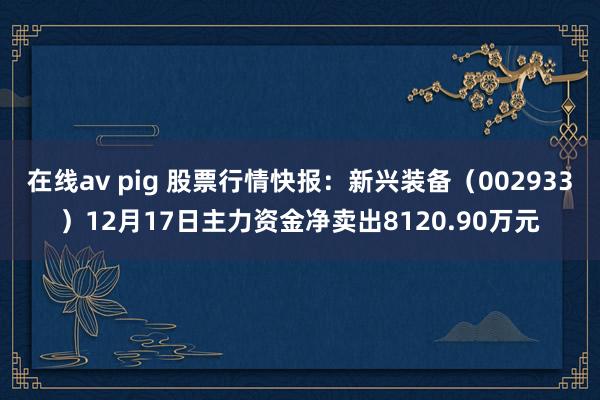 在线av pig 股票行情快报：新兴装备（002933）12月17日主力资金净卖出8120.90万元