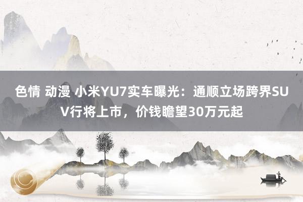 色情 动漫 小米YU7实车曝光：通顺立场跨界SUV行将上市，价钱瞻望30万元起