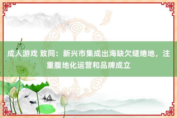 成人游戏 致同：新兴市集成出海缺欠缱绻地，注重腹地化运营和品牌成立