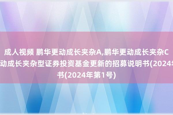 成人视频 鹏华更动成长夹杂A，鹏华更动成长夹杂C: 鹏华更动成长夹杂型证券投资基金更新的招募说明书(2024年第1号)